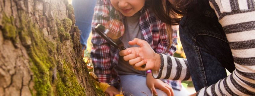 The Benefits of Outdoor Education: Learning Beyond the Classroom Walls
